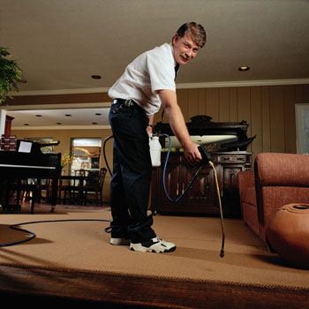 Carpet - For the best in carpet cleaning, water damage restoration, and upholstery cleaning, contact us in Morrow, Georgia.